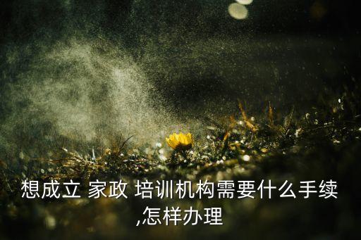家政培训许可深圳,深圳家政培训公司排行榜最新