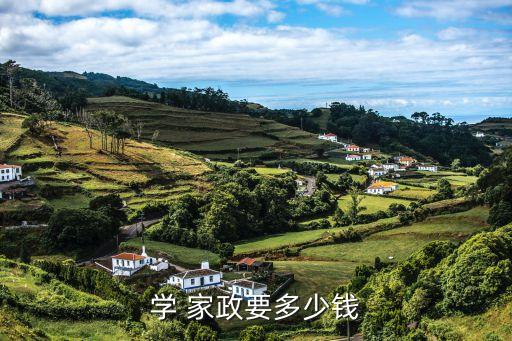 学 家政要多少钱