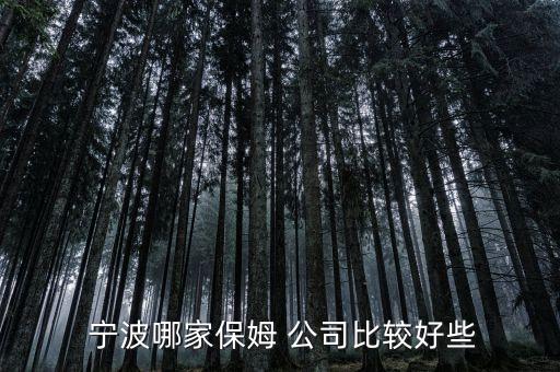  宁波哪家保姆 公司比较好些