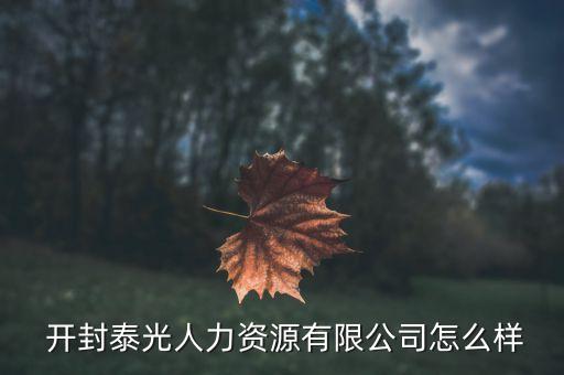  开封泰光人力资源有限公司怎么样