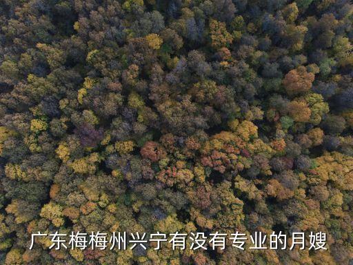  广东梅梅州兴宁有没有专业的月嫂