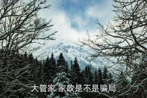 大管家 家政是不是骗局