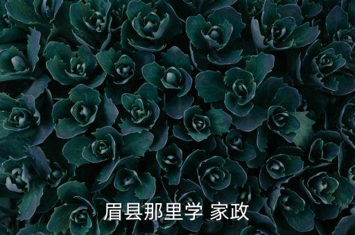 眉县那里学 家政