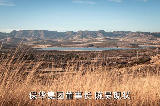 保华集团董事长 陈昊现状