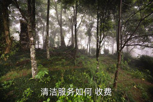 清洁服务如何 收费