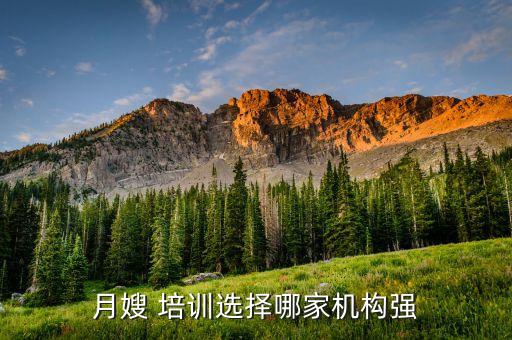 月嫂 培训选择哪家机构强