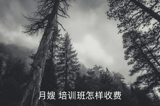 月嫂 培训班怎样收费