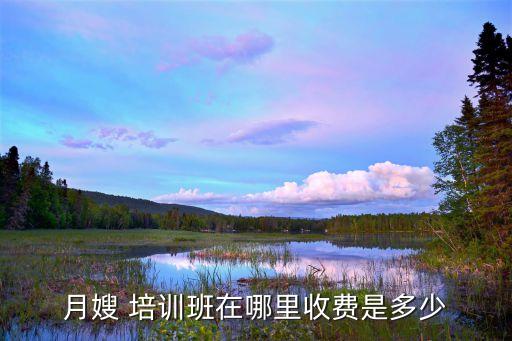 月嫂 培训班在哪里收费是多少