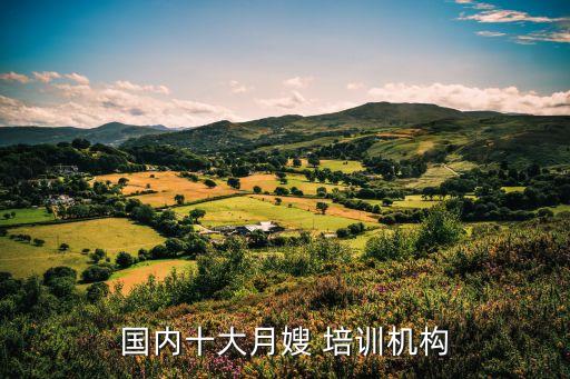 国内十大月嫂 培训机构