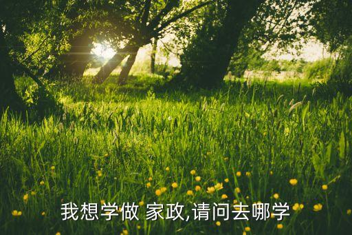我想学做 家政,请问去哪学