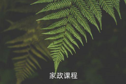  家政课程