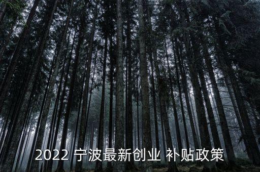 2022 宁波最新创业 补贴政策