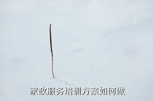 家政服务培训方案如何做
