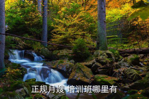 家政公司保姆培训,汉中家政公司保姆培训