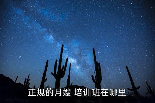 正规的月嫂 培训班在哪里