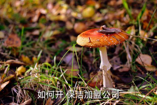 如何开 保洁加盟公司