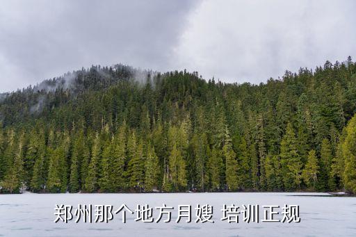 郑州那个地方月嫂 培训正规