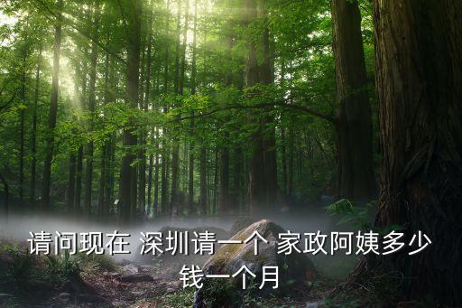 深圳家政公司保姆收费标准,深圳找保姆在哪个家政公司找?
