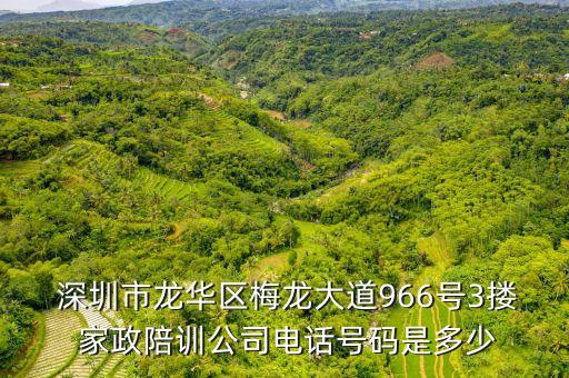  深圳市龙华区梅龙大道966号3搂 家政陪训公司电话号码是多少