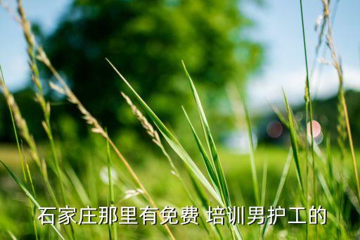  石家庄那里有免费 培训男护工的