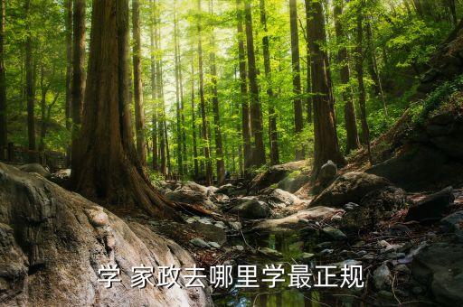 南昌哪里的家政培训好一点