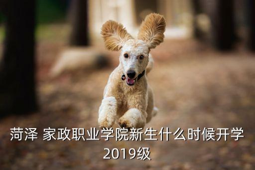 家政培训学员到校,家政学员培训感言怎么写