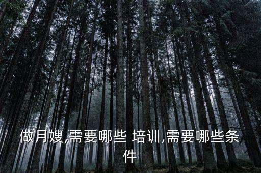 做月嫂,需要哪些 培训,需要哪些条件