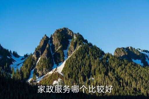  家政服务哪个比较好