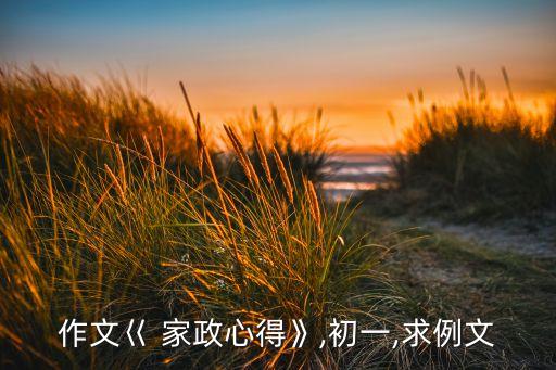 作文巜 家政心得》,初一,求例文