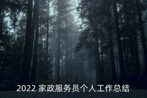 2022 家政服务员个人工作总结