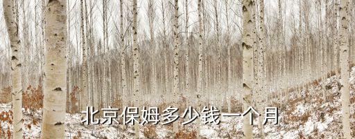 在北京做家政收费多少,北京家政打扫卫生怎么收费