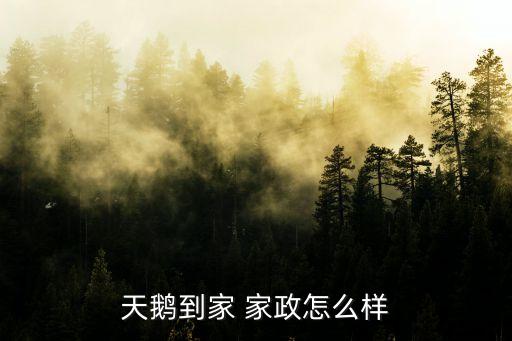 天鹅到家 家政怎么样