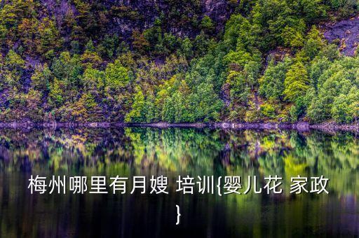 梅州哪里有月嫂 培训{婴儿花 家政}