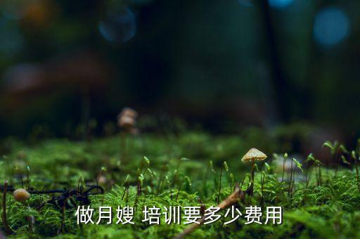 做月嫂 培训要多少费用
