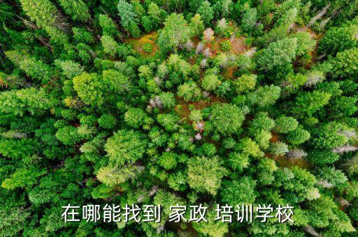 在哪能找到 家政 培训学校