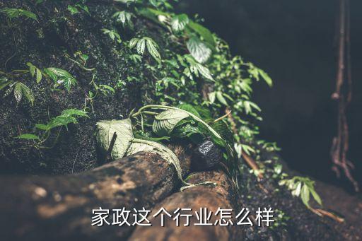  家政这个行业怎么样