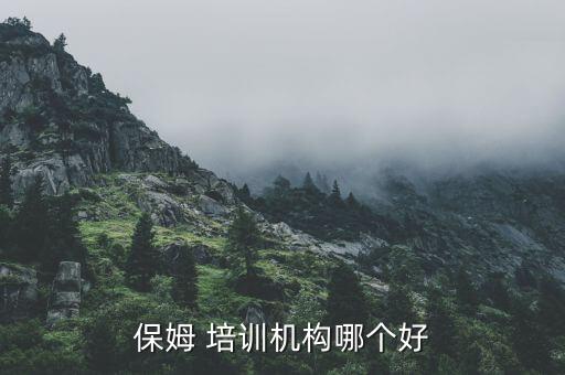 保姆 培训机构哪个好