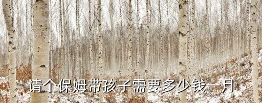 请个保姆带孩子需要多少钱一月