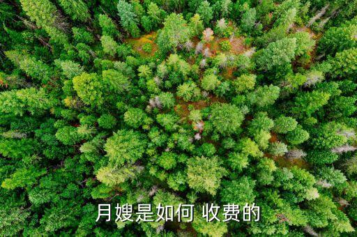 找家政人员怎么收费,家政怎么收费的啊?
