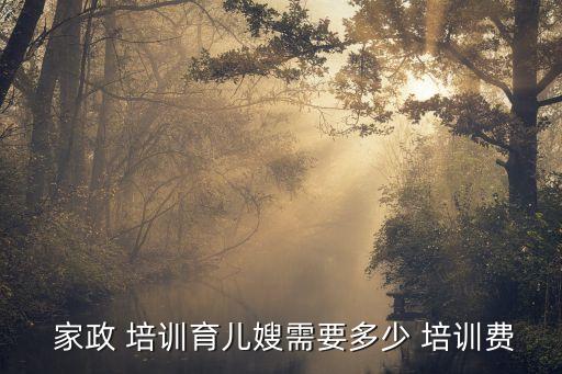  家政 培训育儿嫂需要多少 培训费