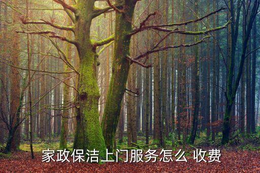  家政保洁上门服务怎么 收费