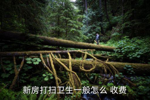 南宁家政清洁垃圾收费吗,家政清洁一般怎么收费的