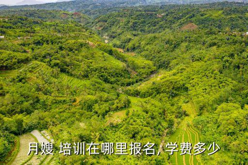 月嫂 培训在哪里报名, 学费多少