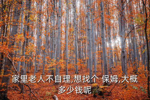 潞西家政保姆怎样收费