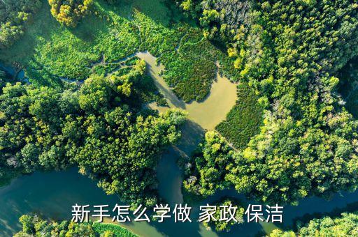 新手怎么学做 家政 保洁