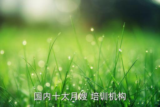 国内十大月嫂 培训机构