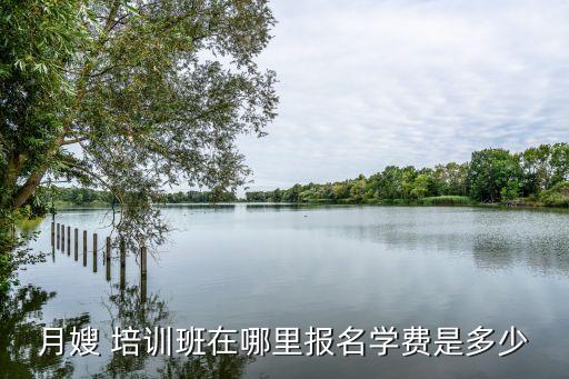 惠州家政培训价位,惠州德力家政培训怎么样