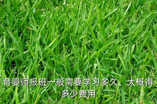 育婴师报班一般需要学习多久、大概得多少费用