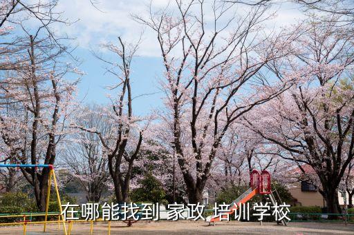 在哪能找到 家政 培训学校