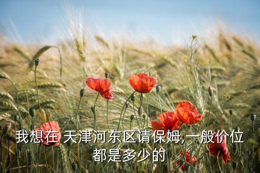 我想在 天津河东区请保姆,一般价位都是多少的